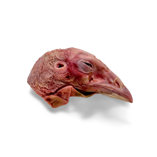 Raw Pasture Raised Turkey Head